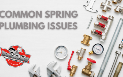 Common Spring Plumbing Issues